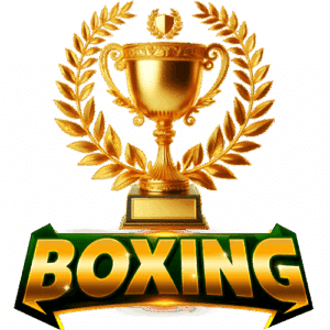 boxing01 logo